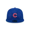 Chicago Cubs Color Pattern 59FIFTY Fitted Hat sold by New Era