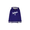 Los Angeles Dodgers Boys Hoodie sold by New Era