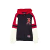 Boston Red Sox Throwback Zipper Hoodie sold by New Era