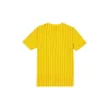 Athletics Throwback Pinstripe T-Shirt sold by New Era