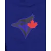 Toronto Blue Jays City Connect Blue Hoodie sold by New Era