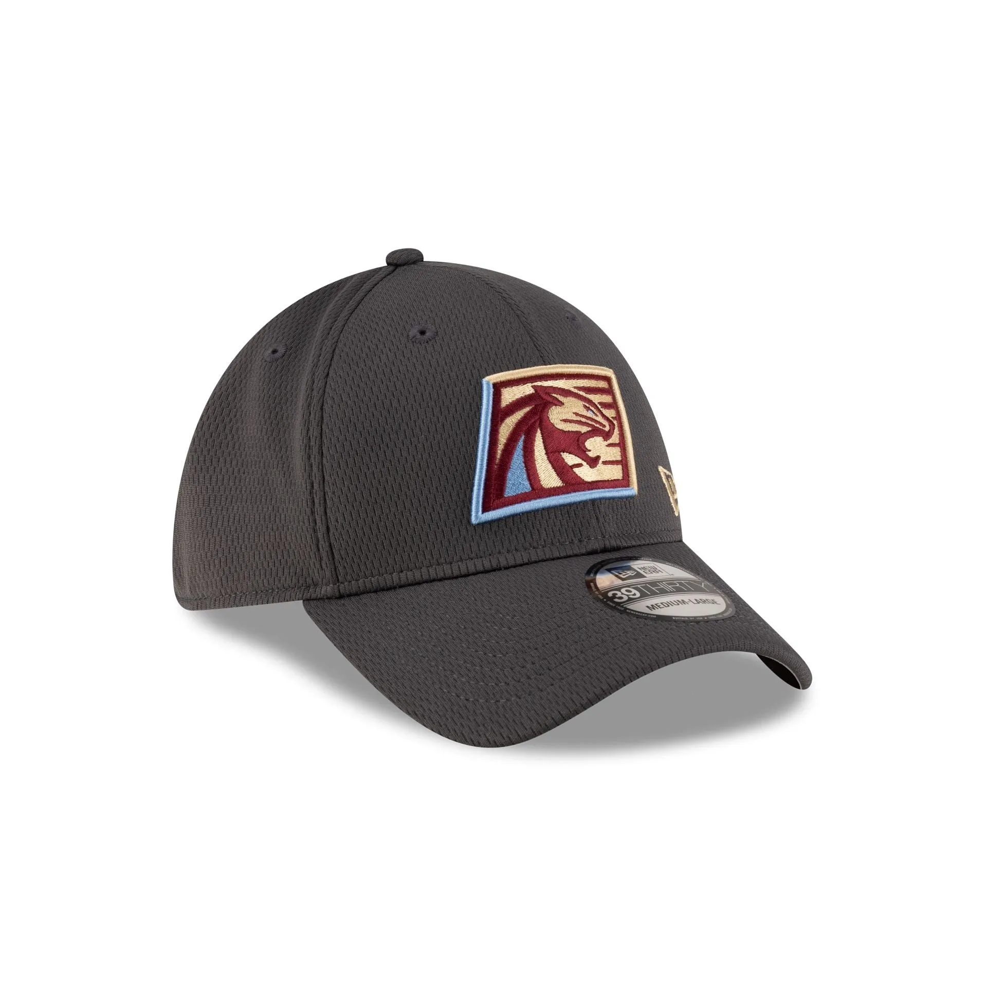 Michigan Panthers Gray 39THIRTY Stretch Fit Hat sold by New Era product image thumbnail 3