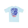 Chicago Cubs Sport Classics Pastel T-Shirt sold by New Era