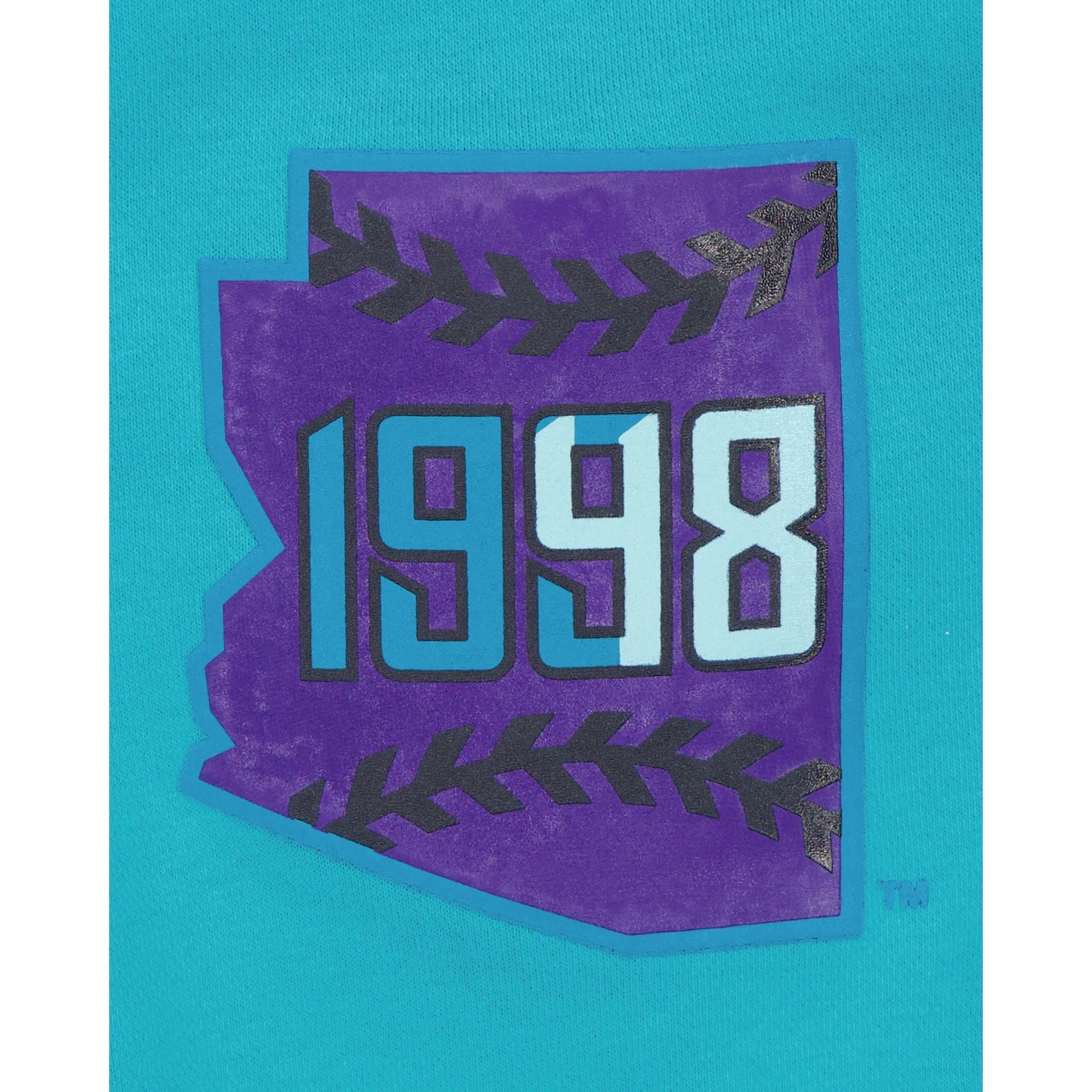 Arizona Diamondbacks City Connect Turquoise Hoodie sold by New Era product image thumbnail 3