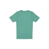 Boston Red Sox City Connect Green T-Shirt sold by New Era