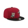 Arizona Diamondbacks Generation Mascots 9FIFTY Snapback Hat sold by New Era