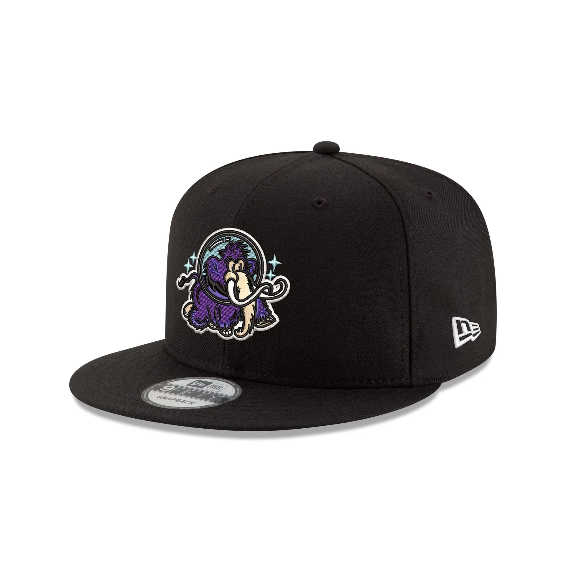 Erie Moon Mammoths 9FIFTY Snapback Hat sold by New Era