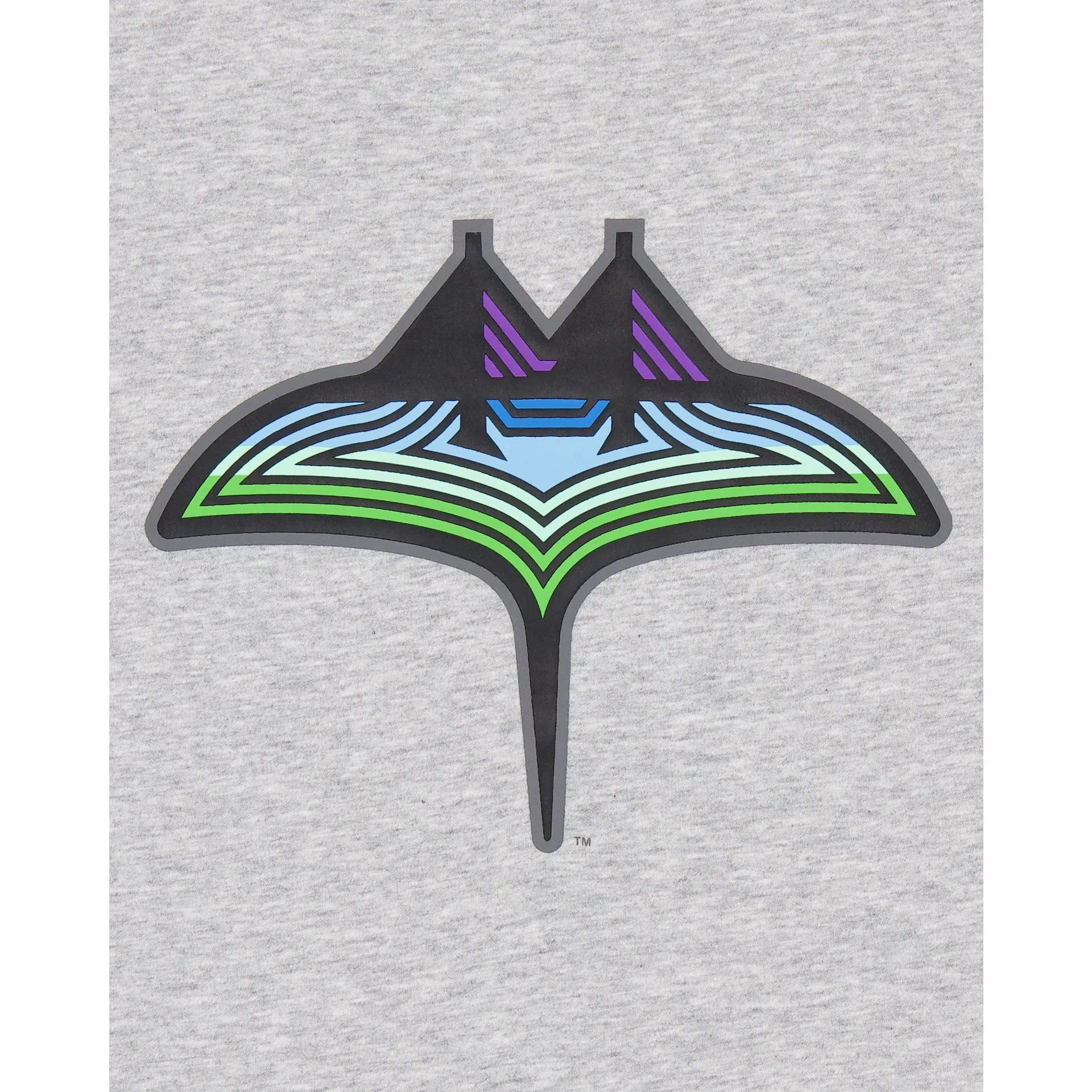 Tampa Bay Rays City Connect Gray T-Shirt sold by New Era product image thumbnail 3