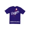 Born x Raised x Los Angeles Dodgers Fly Ball Blue T-Shirt sold by New Era