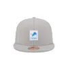 Detroit Lions 2025 Sideline Hot Weather Gray 59FIFTY Fitted Hat sold by New Era