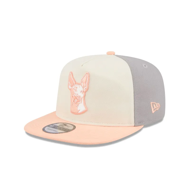 Xolos Two-Tone Gray 19TWENTY Snapback Hat sold by New Era