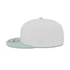 Detroit Tigers Minty Breeze Logo Select 9FIFTY Snapback Hat sold by New Era