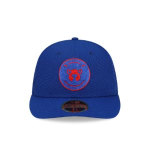 Chicago Cubs 2023 Batting Practice Low Profile 59FIFTY Fitted Hat sold by New Era