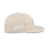 Detroit Tigers Brushed Nylon Retro Crown 9FIFTY Adjustable Hat sold by New Era