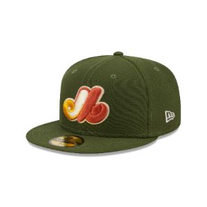 Montreal Expos Autumn Flannel 59FIFTY Fitted Hat sold by New Era