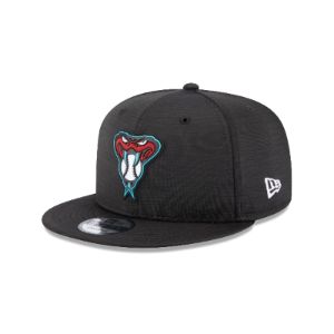 Arizona Diamondbacks 2023 Clubhouse 9FIFTY Snapback Hat sold by New Era