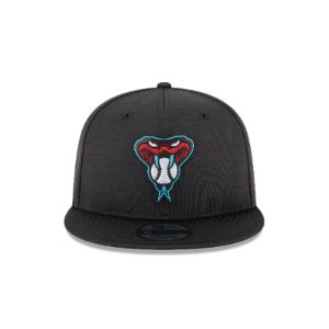 Arizona Diamondbacks 2023 Clubhouse 9FIFTY Snapback Hat sold by New Era