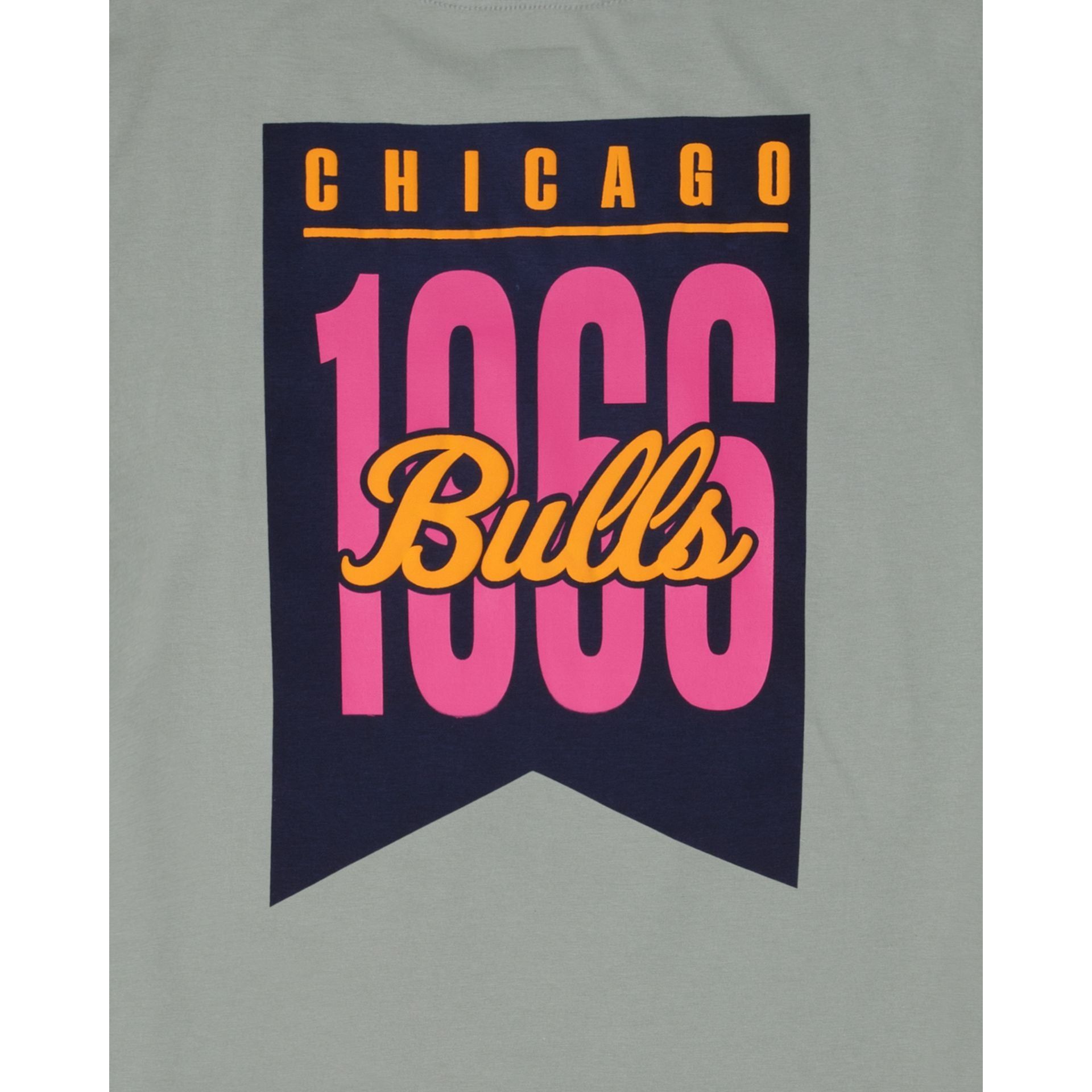 Chicago Bulls Color Pack Green T-Shirt sold by New Era product image thumbnail 5