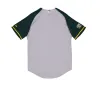 Pericos de Puebla Away Jersey sold by New Era