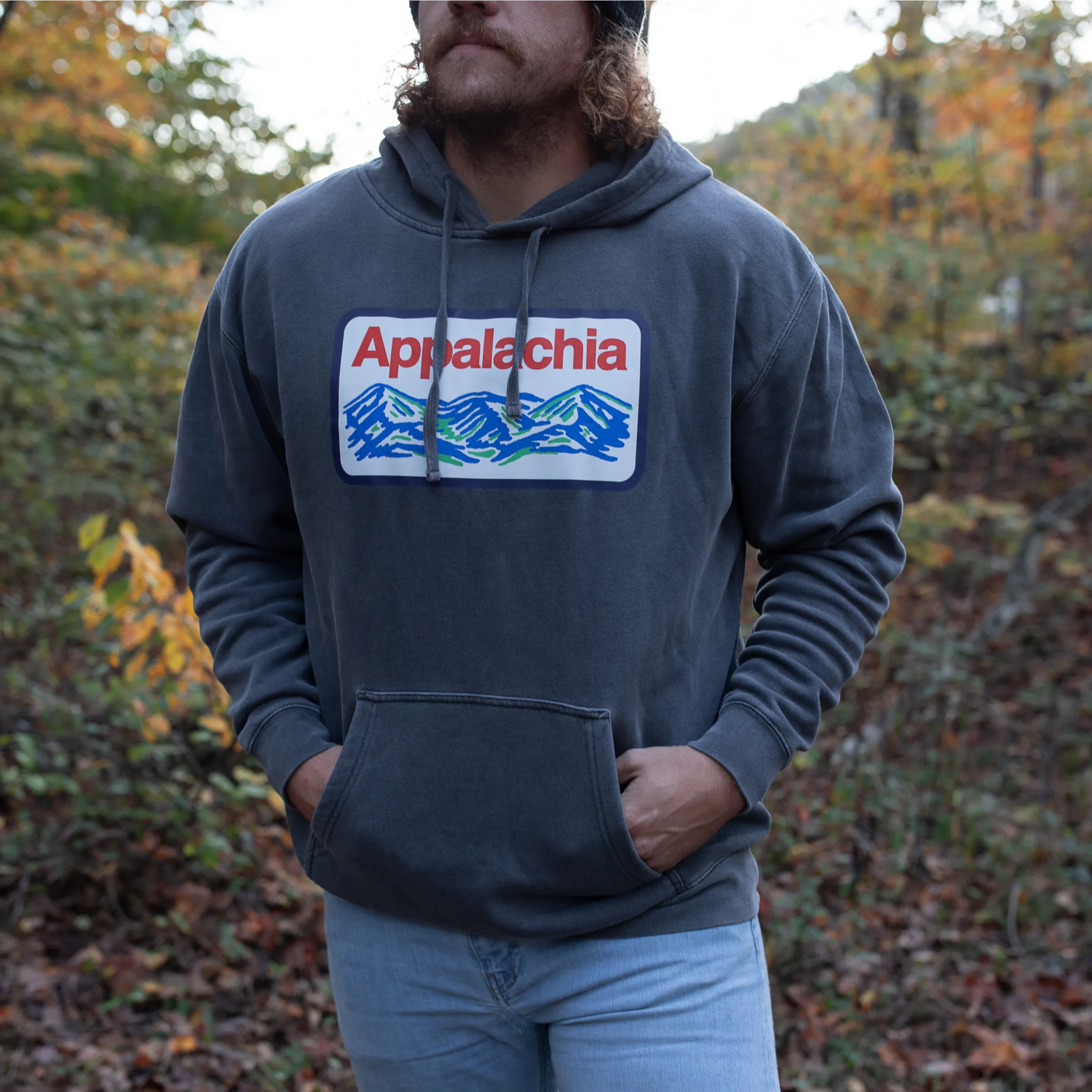 Appalachia Patch Hoodie (Charcoal) sold by New Frontier product image thumbnail 2