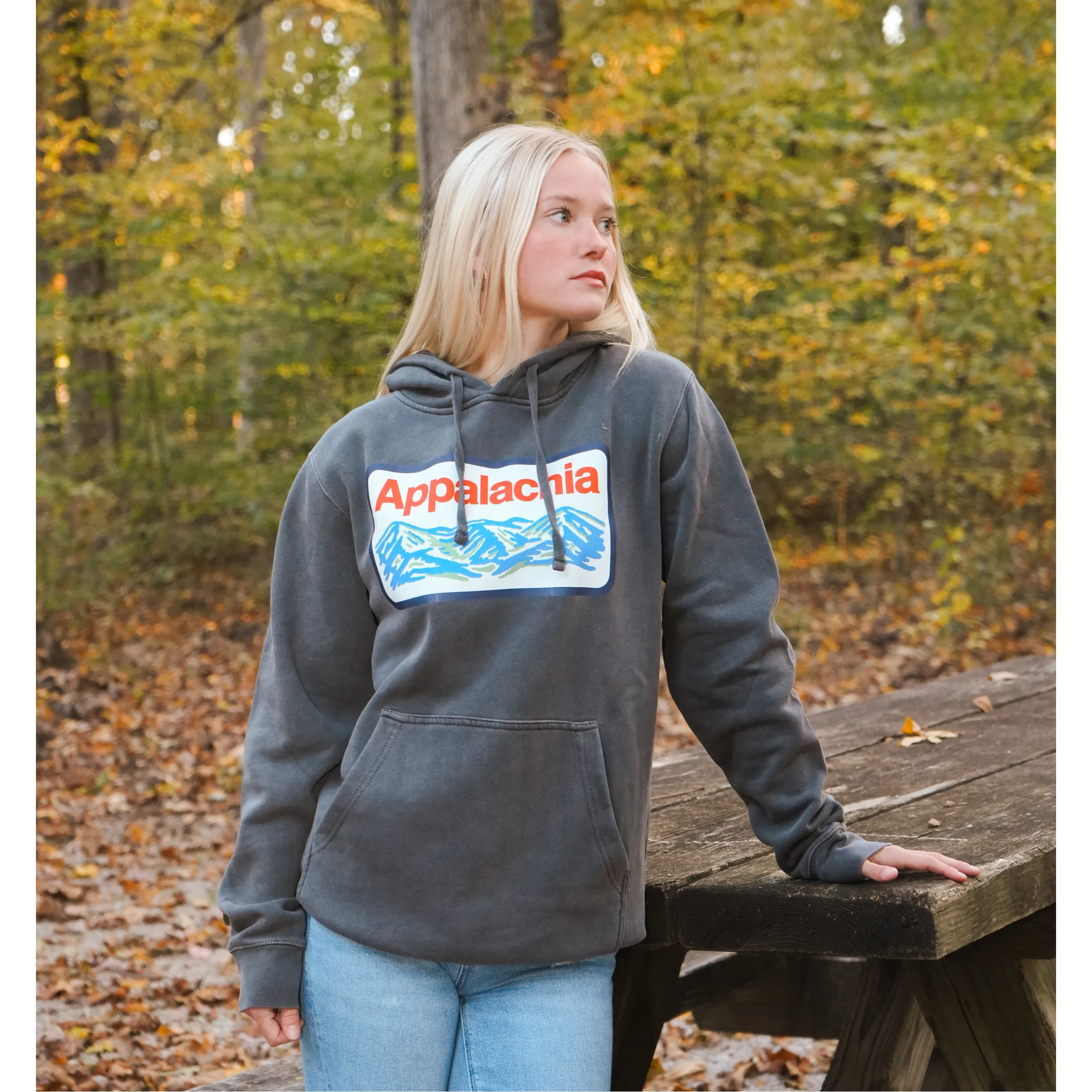 Appalachia Patch Hoodie (Charcoal) sold by New Frontier product image thumbnail 4