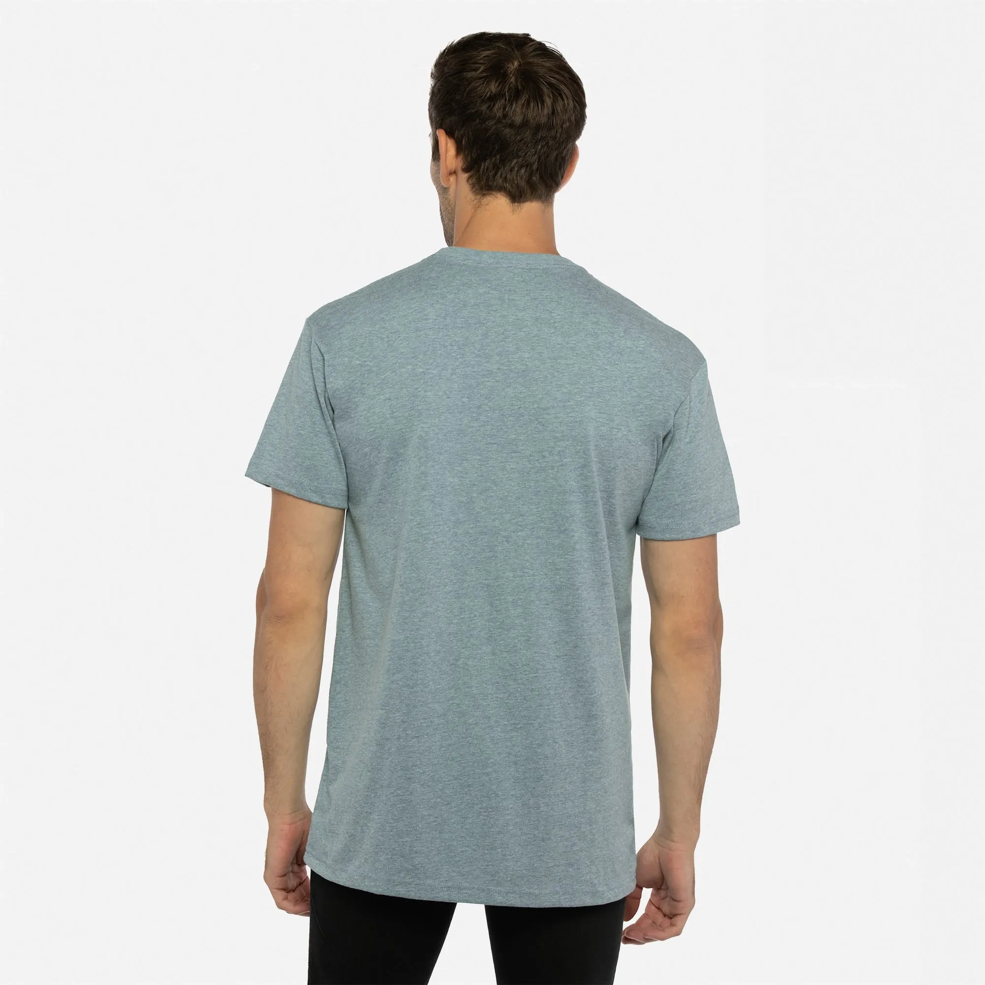 Eco Heavyweight T-Shirt sold by Next Level Apparel product image thumbnail 2