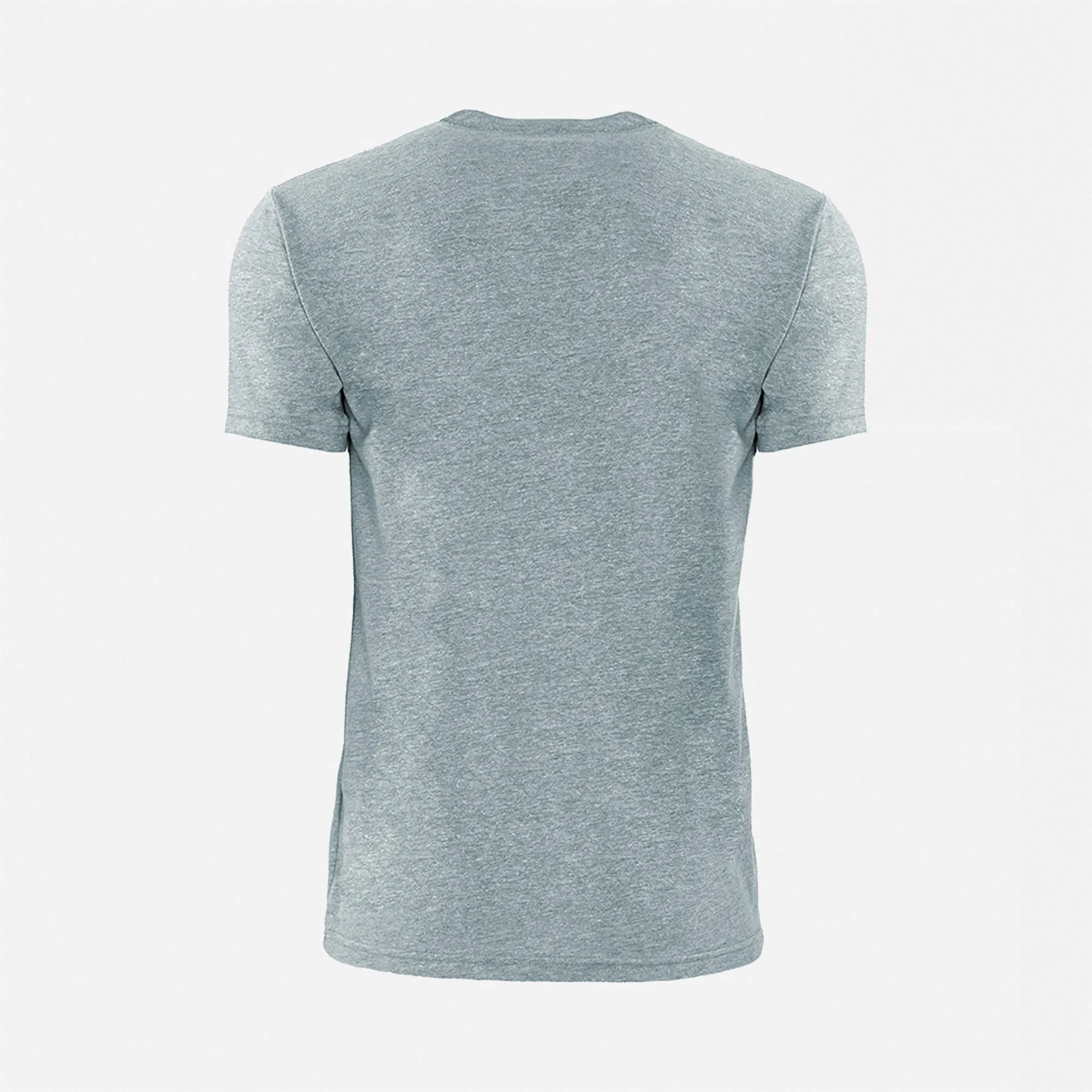 Eco Heavyweight T-Shirt sold by Next Level Apparel product image thumbnail 4