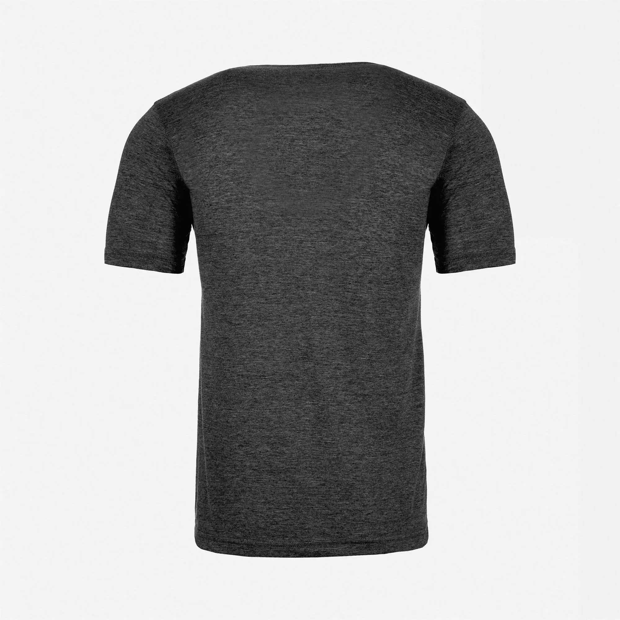 Festival T-Shirt sold by Next Level Apparel product image thumbnail 4