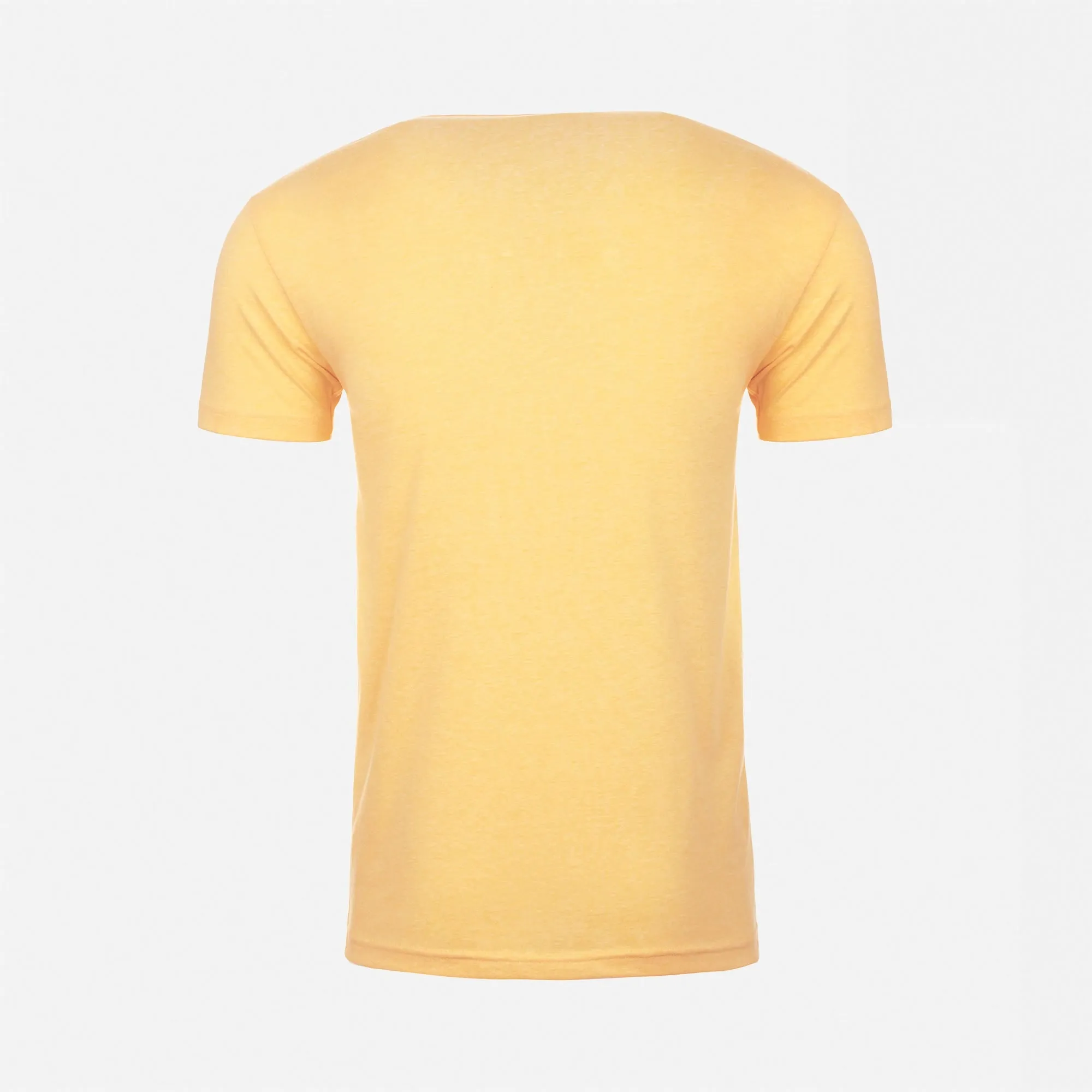 CVC V-Neck T-Shirt sold by Next Level Apparel product image thumbnail 4