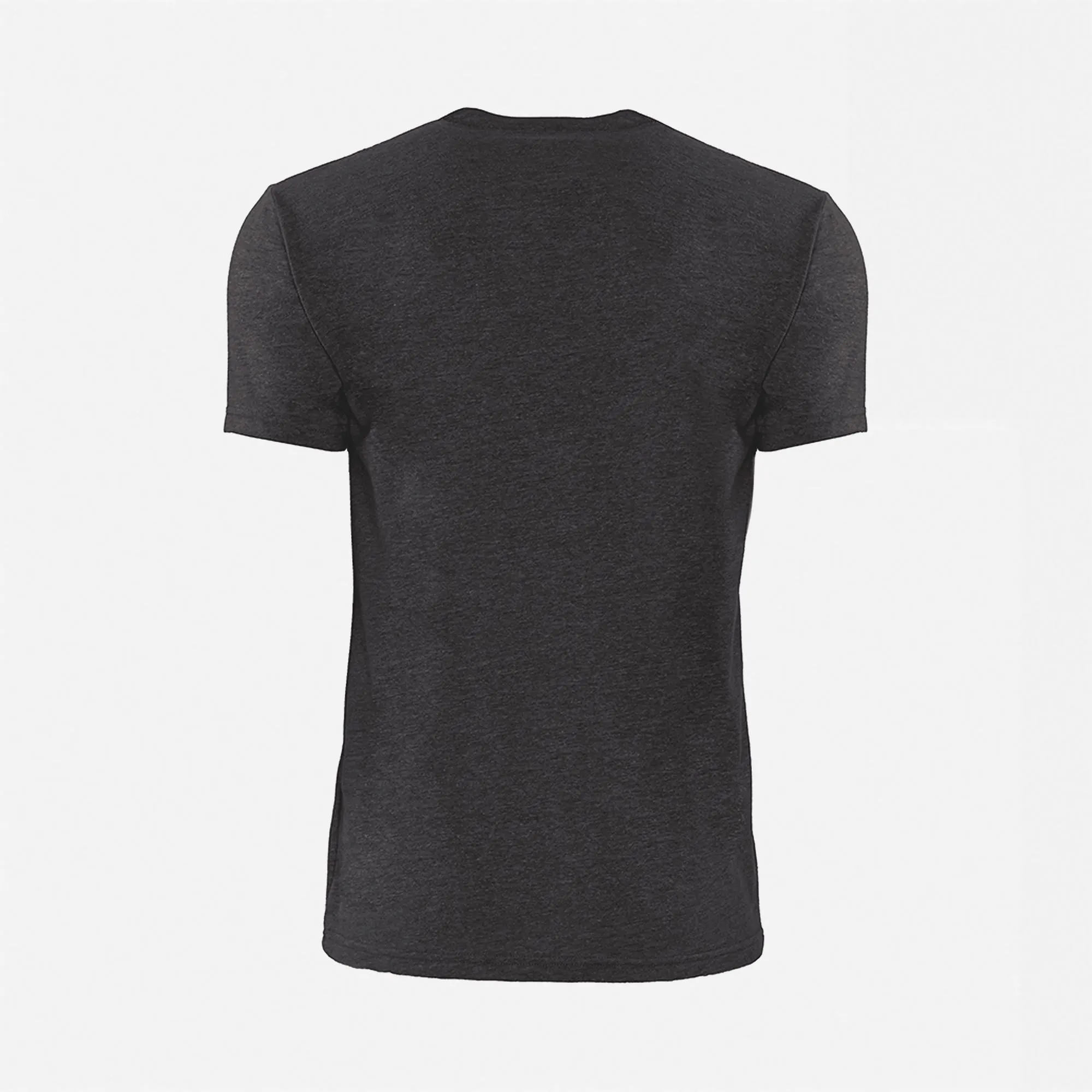 Eco Heavyweight T-Shirt sold by Next Level Apparel product image thumbnail 4