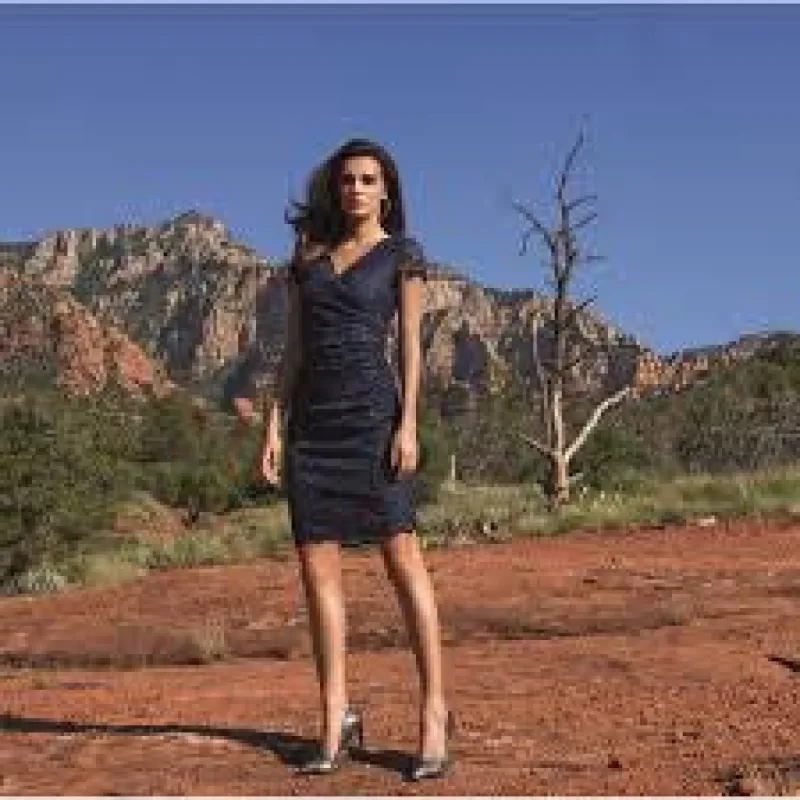Joseph Ribkoff - Dress made by Joseph Ribkoff