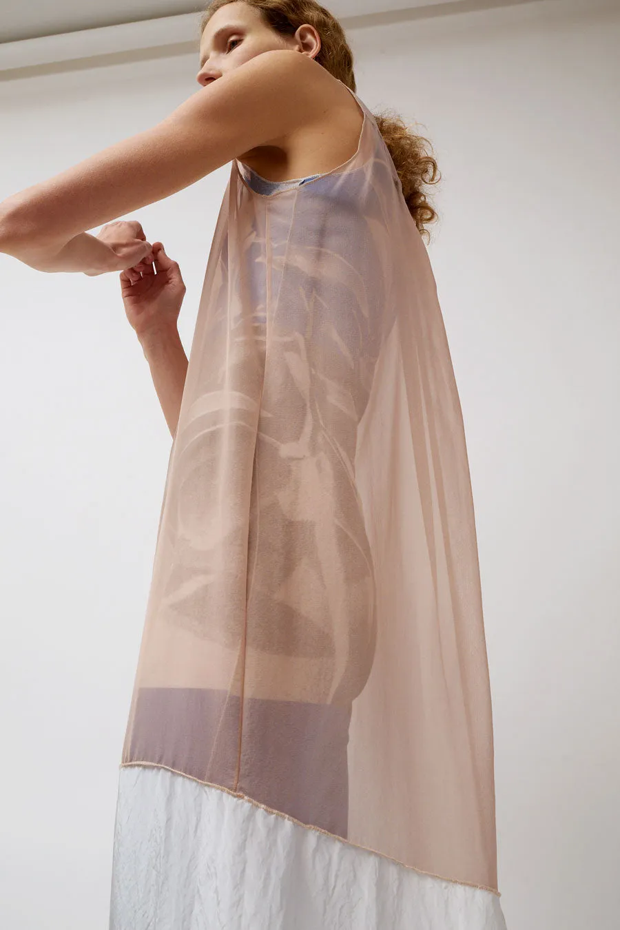 Vladimir Karaleev Ira Long Dress in Powder sold by No. 6 product image thumbnail 3