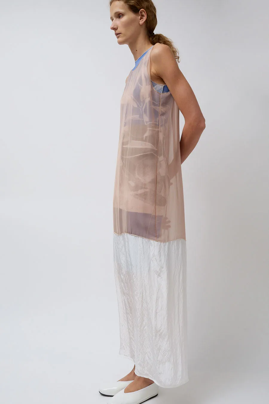Vladimir Karaleev Ira Long Dress in Powder sold by No. 6 product image thumbnail 4