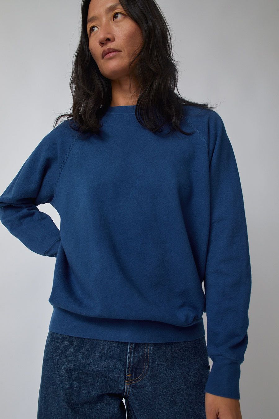 B Sides Crewneck Sweatshirt in Indigo Botanical Dye sold by No. 6 product image thumbnail 3