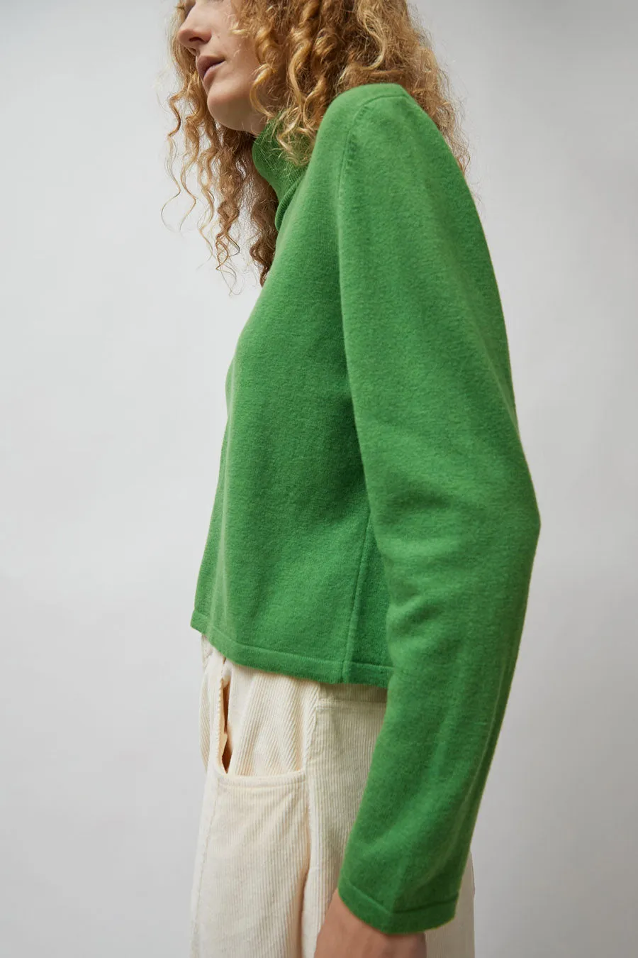 CORDERA Merino Turtleneck Sweater in Herba sold by No. 6 product image thumbnail 3