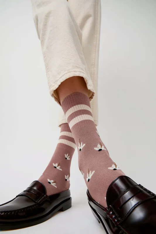 Exquisite J Daisy Socks in Taupe sold by No. 6