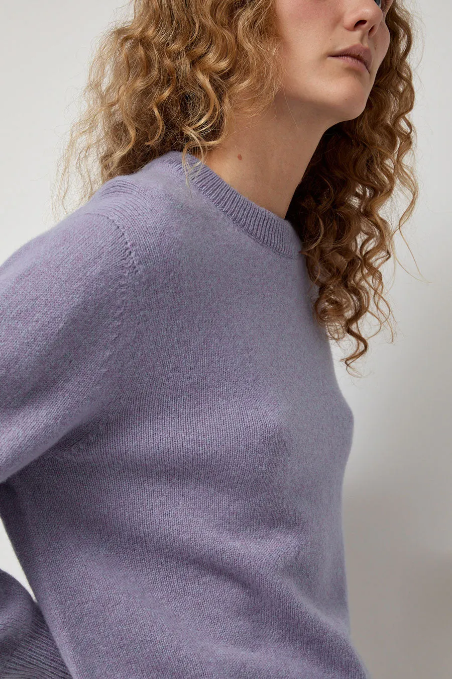 HOWLIN' Tropical Dreams Crewneck in Violet Mix sold by No. 6 product image thumbnail 2