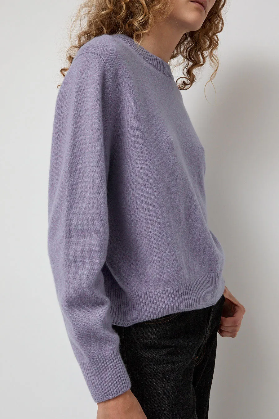 HOWLIN' Tropical Dreams Crewneck in Violet Mix sold by No. 6 product image thumbnail 4