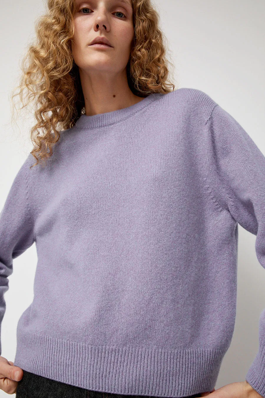 HOWLIN' Tropical Dreams Crewneck in Violet Mix sold by No. 6