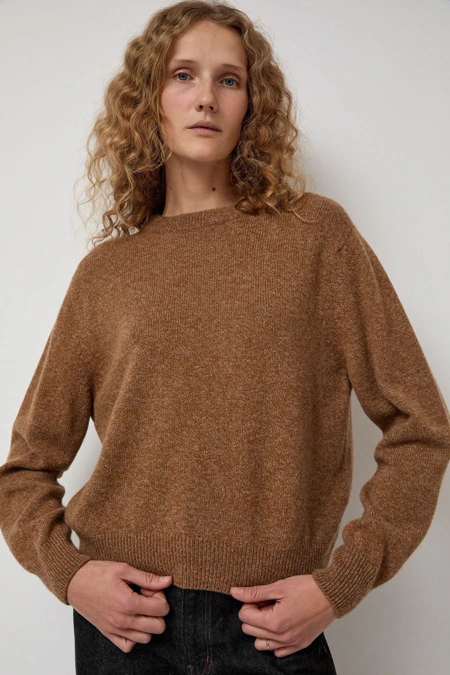 HOWLIN' Tropical Dreams Crewneck in Nut Mix sold by No. 6