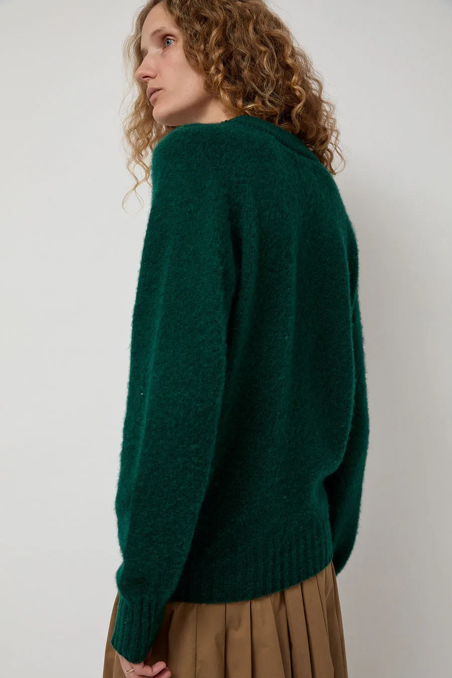 HOWLIN' Future Memories V Neck Sweater in Forest sold by No. 6 product image thumbnail 4