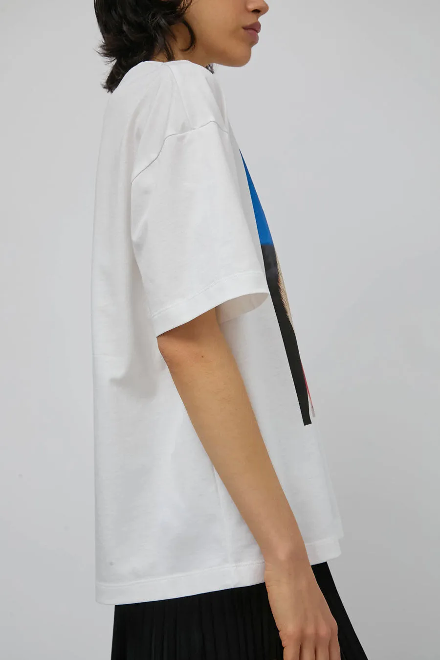 Marios Bold T-Shirt in Swan and Off White sold by No. 6 product image thumbnail 2