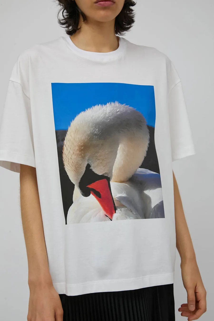 Marios Bold T-Shirt in Swan and Off White sold by No. 6