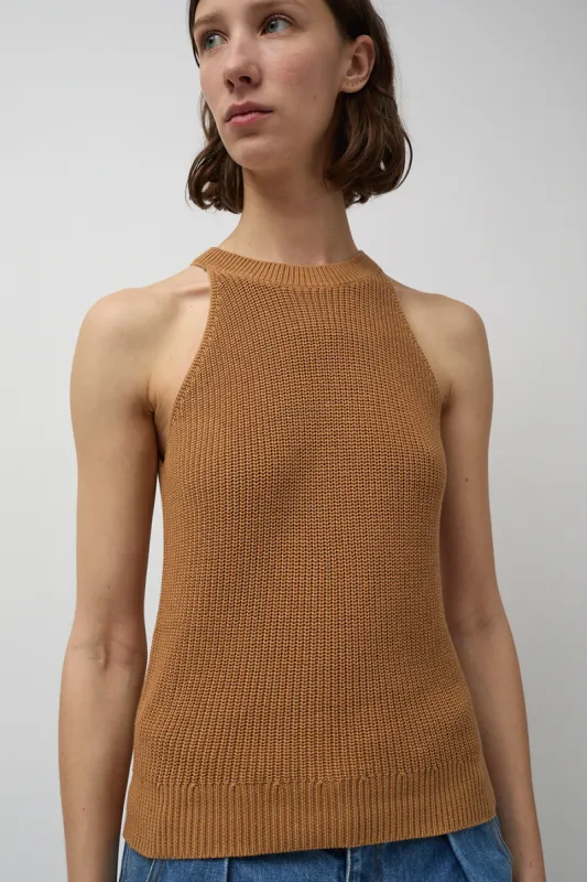 Rue Blanche Ribscott Tank in Desert made by No. 6