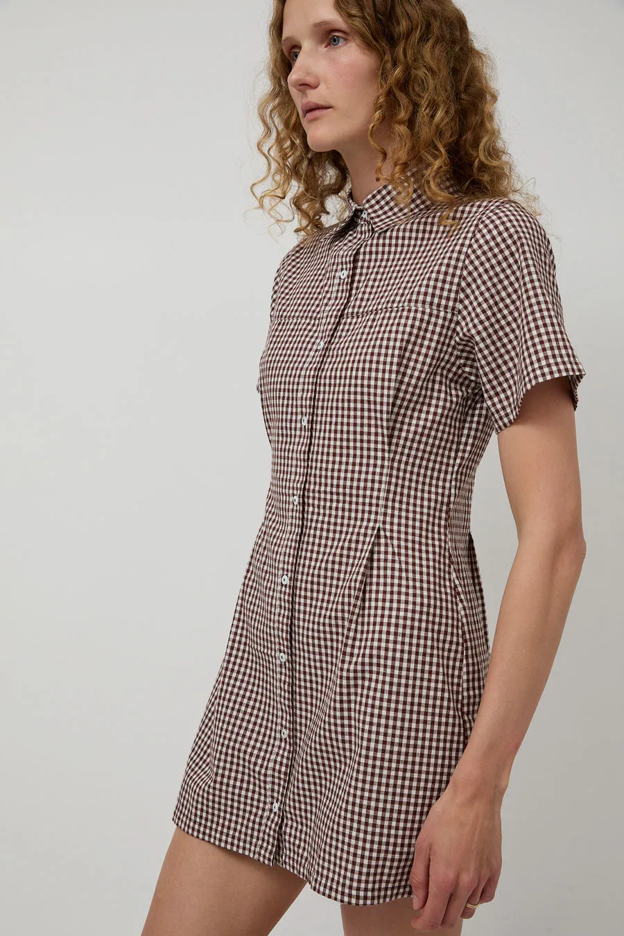 A Bronze Age Sloan Dress in Brown Gingham sold by No. 6 product image thumbnail 2