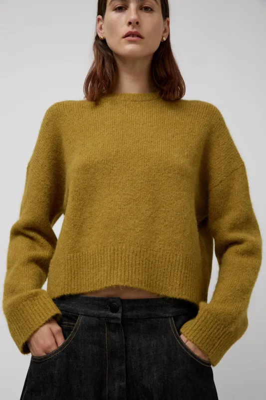 No.6 Henry Knit in Mustard sold by No. 6