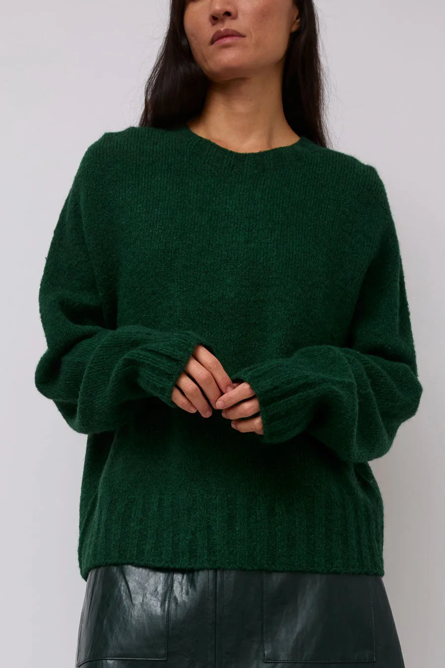 Mijeong Park Alpaca Blend Wholegarment Knit in Green sold by No. 6 product image thumbnail 5