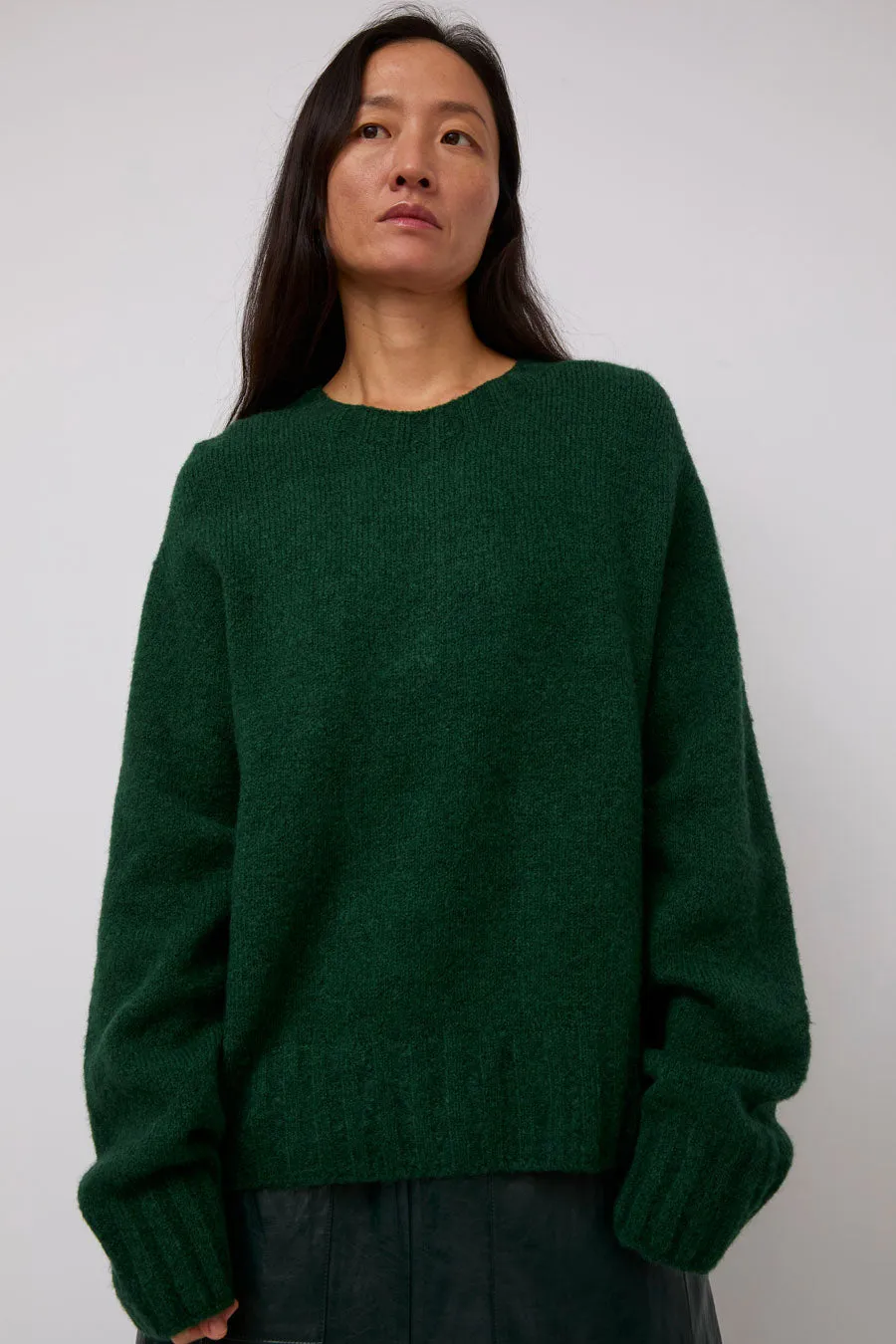 Mijeong Park Alpaca Blend Wholegarment Knit in Green sold by No. 6