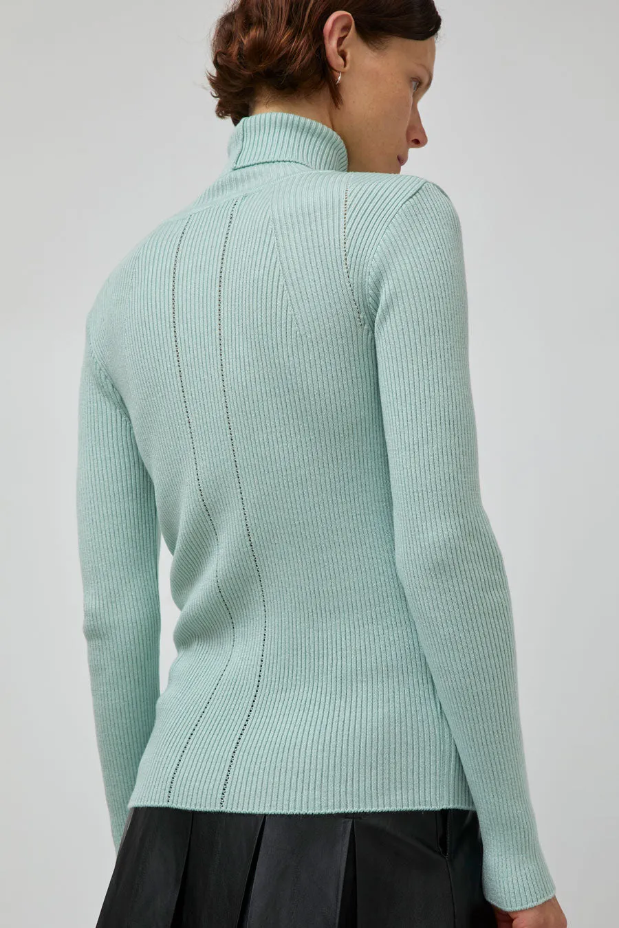 TONYWACK Slim-Fit Ribbed Turtleneck in Mint sold by No. 6 product image thumbnail 5