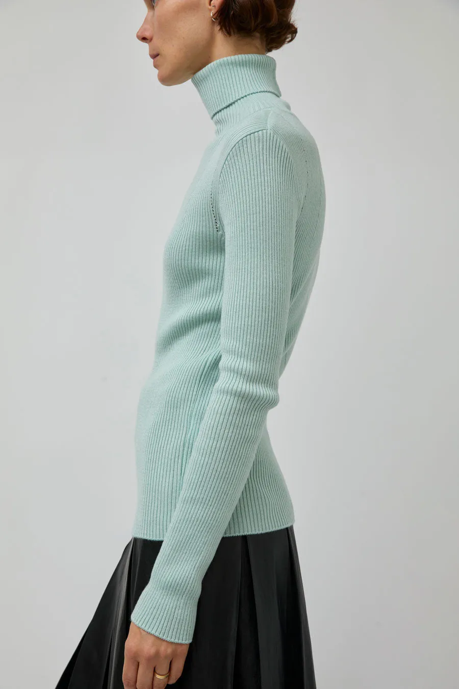 TONYWACK Slim-Fit Ribbed Turtleneck in Mint sold by No. 6 product image thumbnail 2